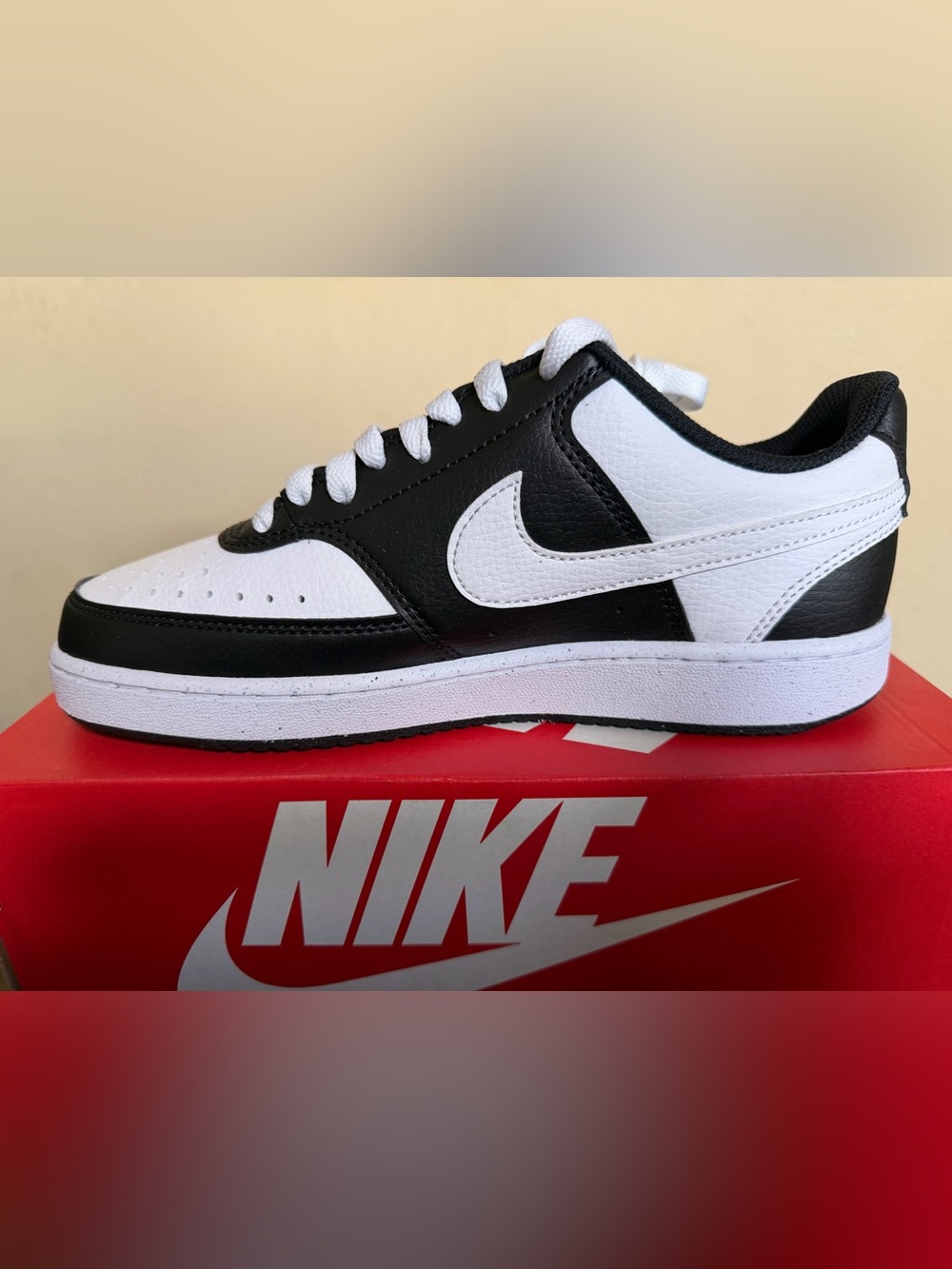 Nike Men’s Low-Top Sneaker in Black and White
